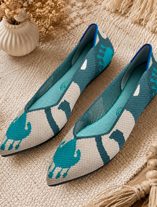 Ballerine ottanio a punta con motivo figurativo beige e bordo interno blu
