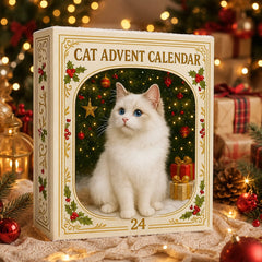 Confezione color crema del calendario dell'Avvento con cornice dorata e numero 24