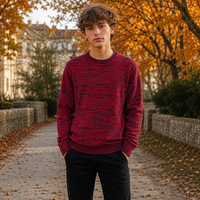 Maglione uomo mélange | Apollo